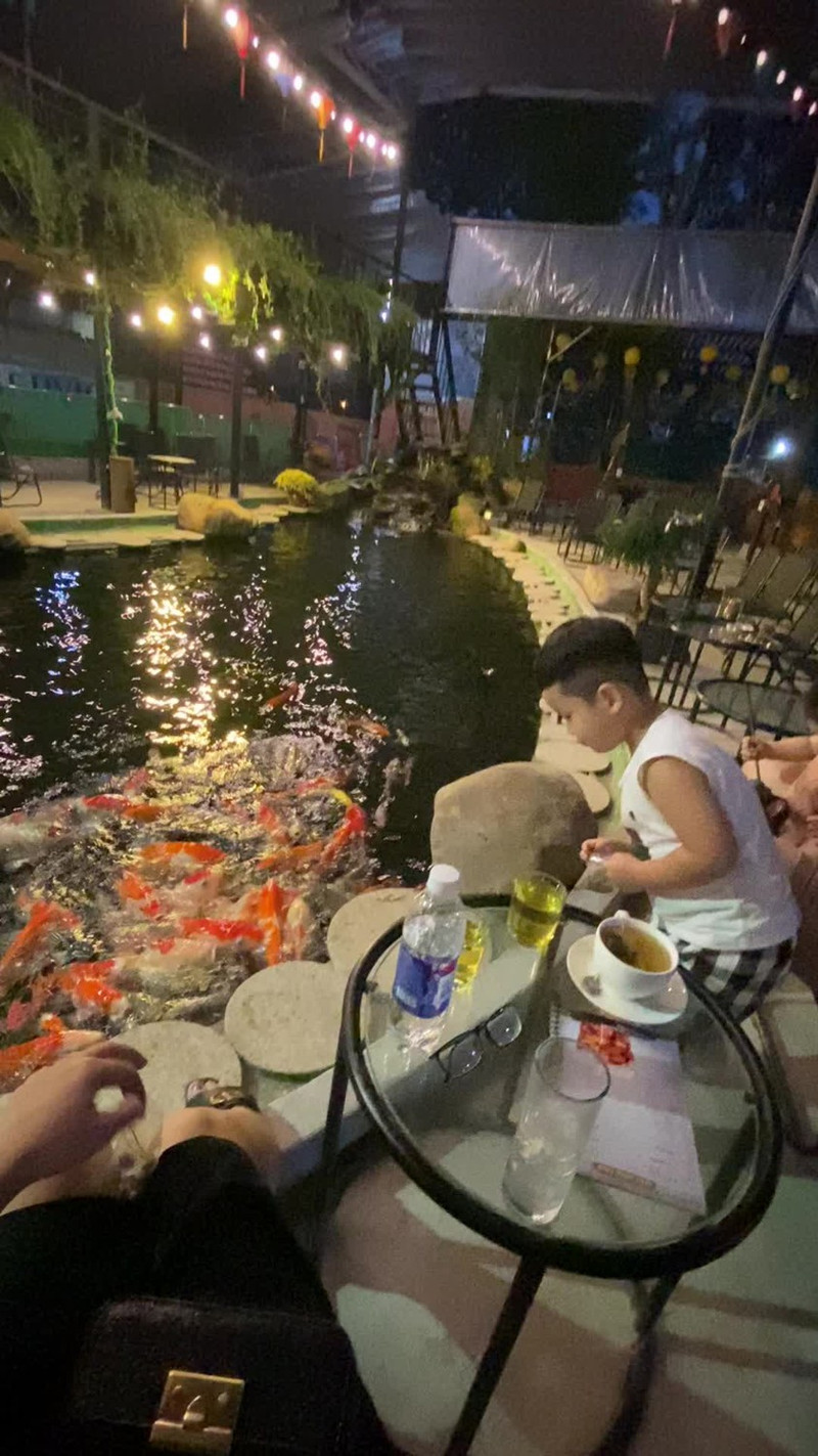 Ruby Koi Coffee - Sinh Vật Cảnh