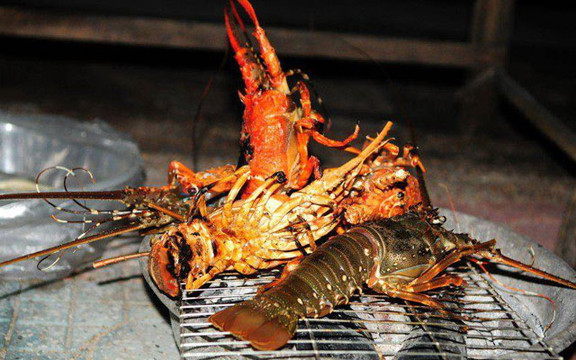 Khu Hải Sản Bãi Nồm - Đảo Bình Ba