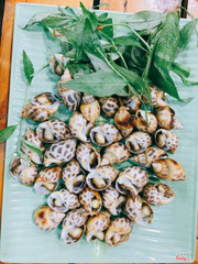 ỐC HƯƠNG NƯỚNG