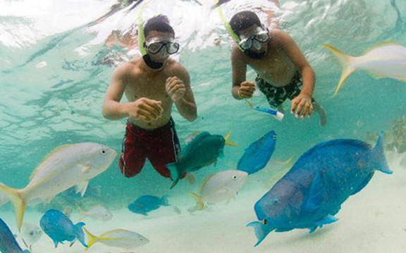 Travel Rose - Võ Văn Tần