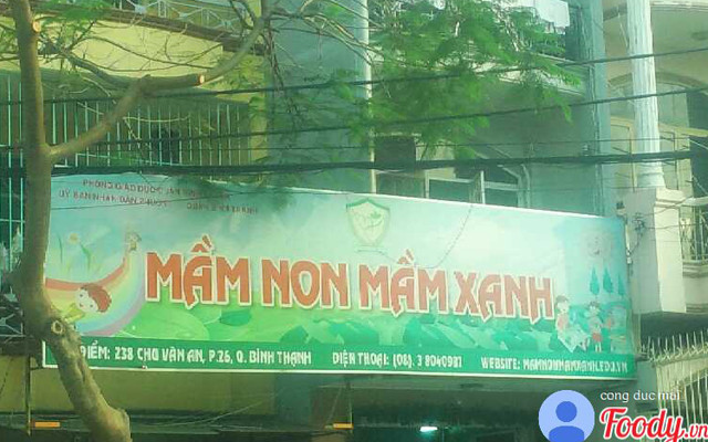 Trường Mầm Non Mầm Xanh - Bình Thạnh