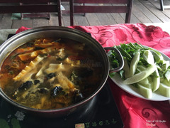 Lẩu ếch nước hơi mặn