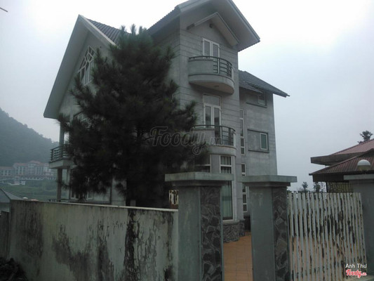 Biệt thự Tam Đảo