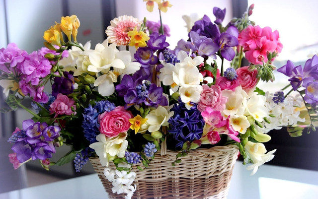 Hoa Sem - Wedding & Event Planner