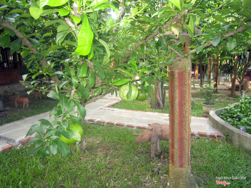 đây là không gian tại Hương Tràm