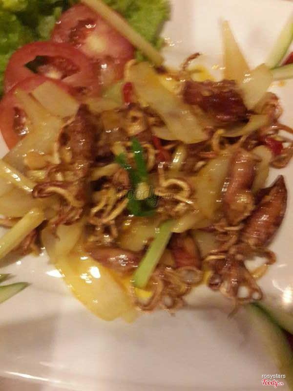 Mực sữa chiên giòn