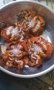 Cua Huỳnh Đế đặc sản Phan Thiết 