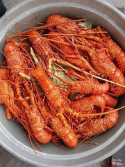 Tôm đỏ - món ăn đặc sản chỉ có ở Phan Thiết 