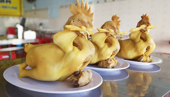 Gà Ta Tam Kỳ - Huệ Trần