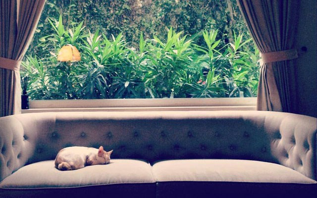 Tropic Spa - Phan Kế Bính