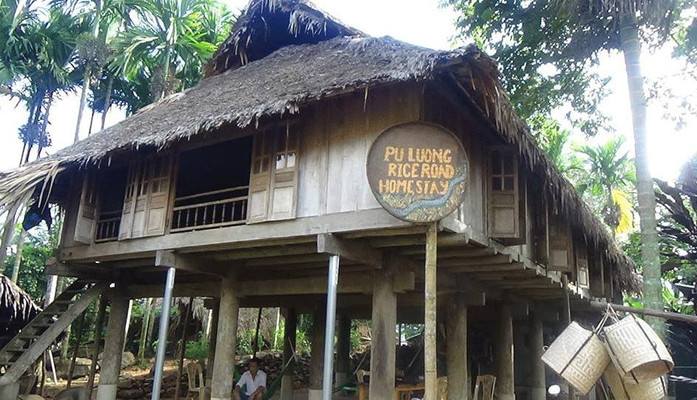 Puluong Riceroad Homestay