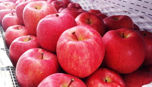 EUS Fruit - Trái Cây Nhập Khẩu