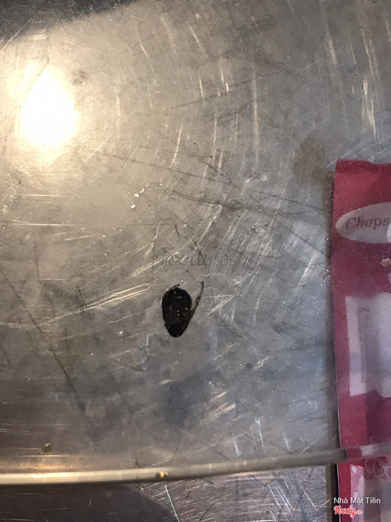 Gián được trộn trong canh