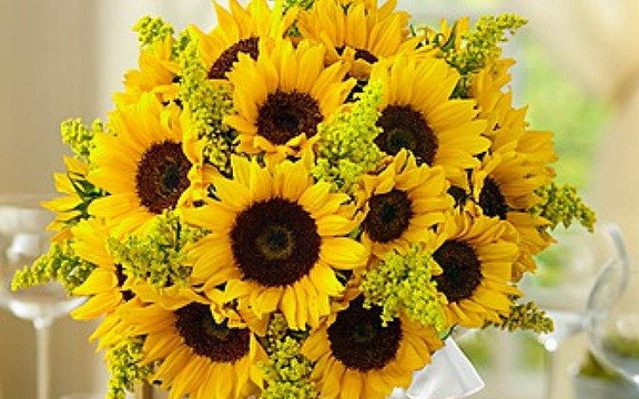 Hoa Tươi My Phượng - Lê Đức Thọ