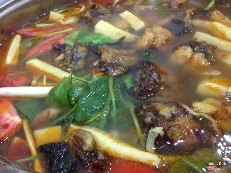 Lẩu ếch