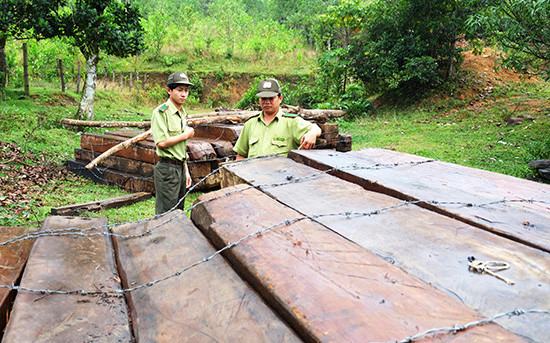 Chi Cục Kiểm Lâm TP. Đà Nẵng