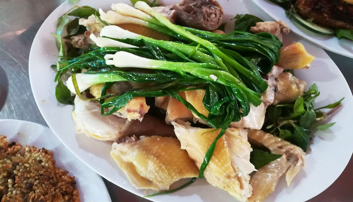 Gà Chỉ Sáu Cao