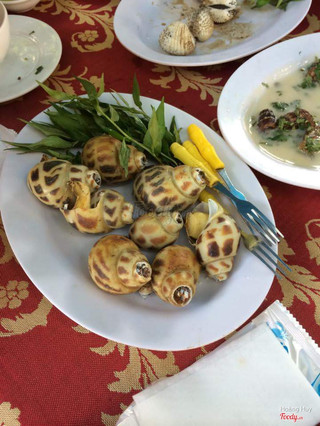 Ốc "thập cẩm"