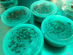 Bánh đúc mua về