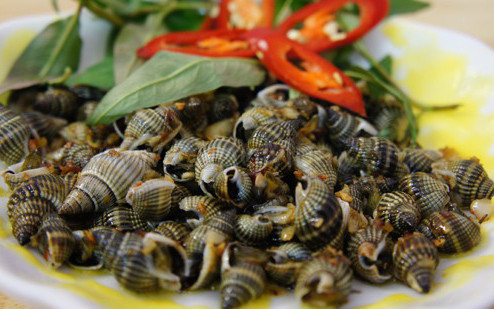 Ốc Bèo - Đường Số 8