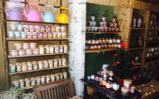 Dalat 1893 - Trương Công Định 