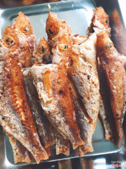 Cá đổng 1 nắng chiên giòn