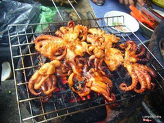 Bạch tuốc  sa tế