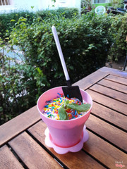 Kem Chậu Cây