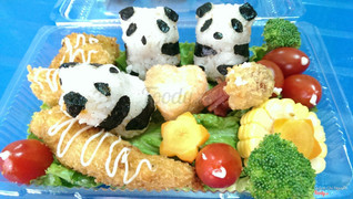 Bento Gau Truc 50k