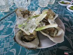 Hàu tươi
