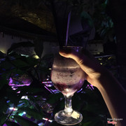 Yogury việt quất