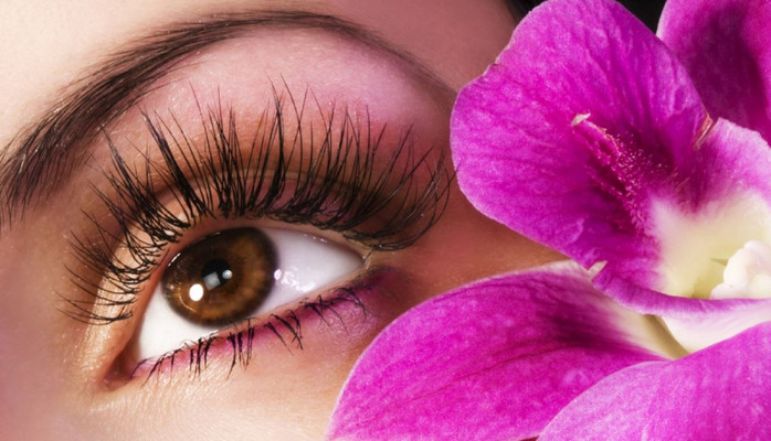 Chau Lash Land - Trung Tâm Đào Tạo Nối Mi