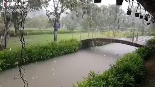 Hakia Garden - Ẩm Thực Chay