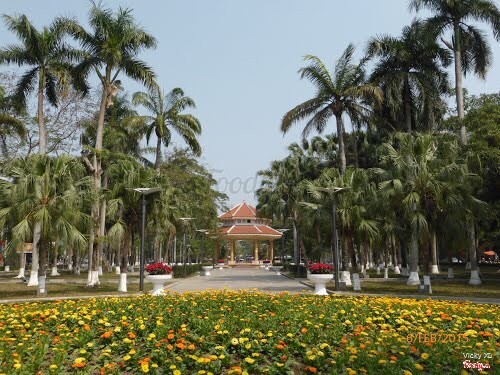 mùa hoa nở