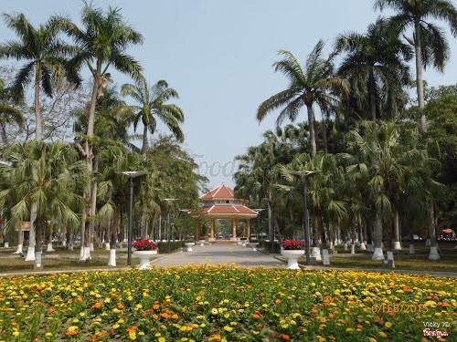 mùa hoa nở