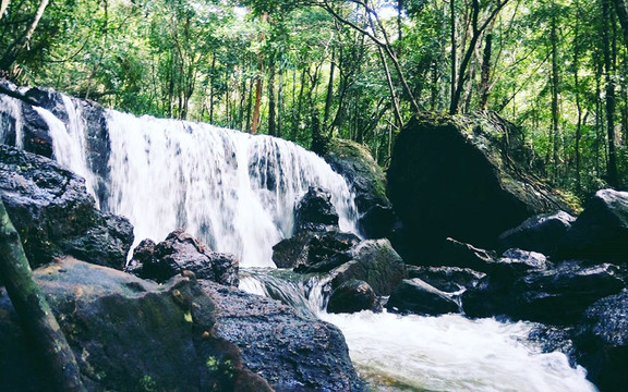 Khu Du Lịch Suối Tranh