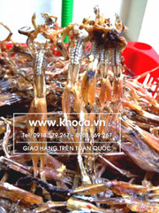 Khô nhái, vũ nữ chân dài