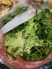 Rau bửn dập nát, ít xà lách toàn rau linh tinh