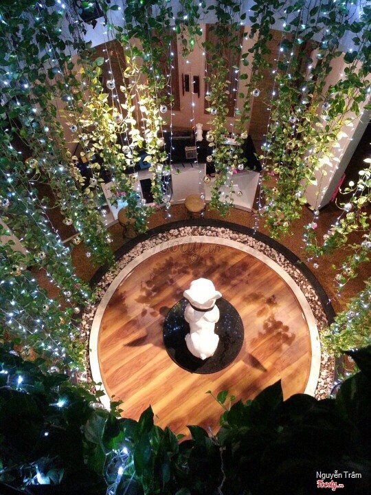 hình ảnh khách sạn về đêm