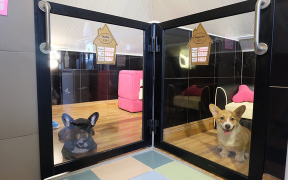 Bed and Pet-first - Dog Hotel