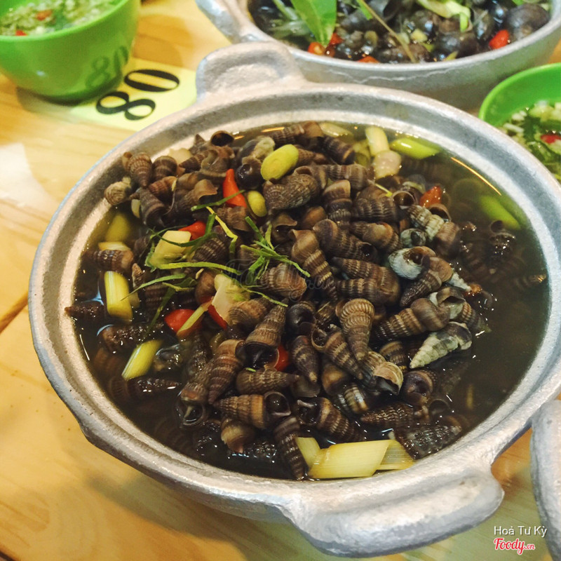 Ốc len nhỏ luộc mắm