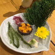 Hokkaido Katsu Uni - Cầu gai Nhật tươi (các bạn nv bảo thỉnh thoảng mới nhập về)