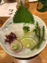 sashimi Mực