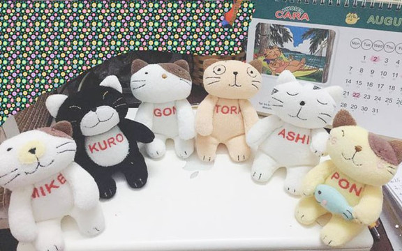 Hikosen Cara - Hải Phòng