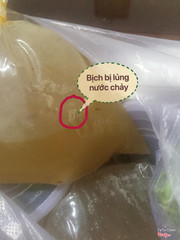 Bịch bị lủng