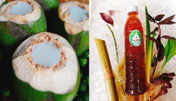 Conut Jel - Shop Online - Huỳnh Văn Bánh