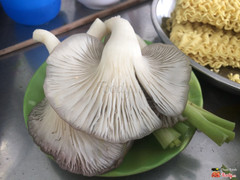 Nấm ăn lẩu