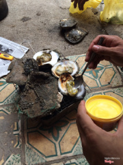 Hài nướng bơ