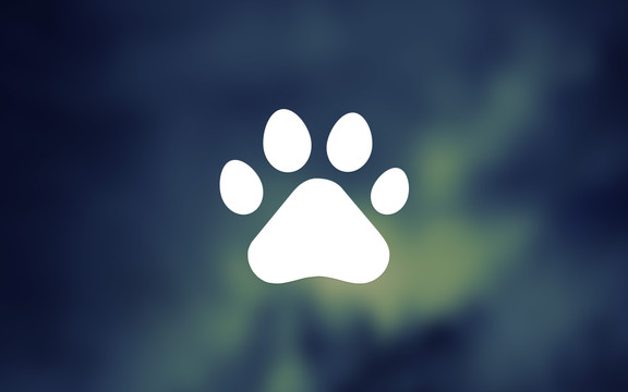 Bệnh Viện Thú Y Pet Care 2