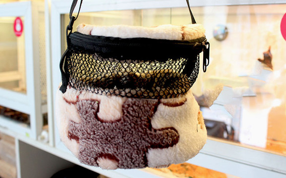 B.B Pet Shop - Phụ Kiện Thú Cưng